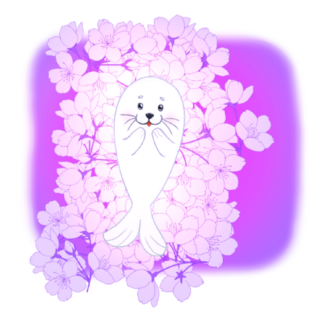 descubre-la-belleza-de-la-foca-arpa-harp-seal